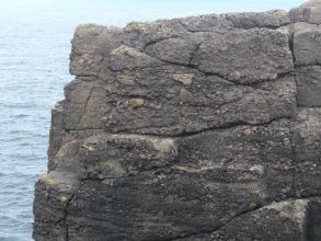 Agglomerate, Kirn o Slettans, Eshaness, North Mainland.